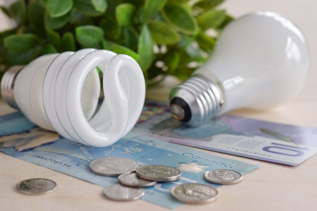 bombillas y dinero representando ahorro en energía
